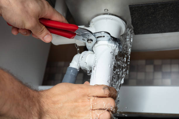 Best Water damage restoration mold remediation  in Bayou Vista, TX