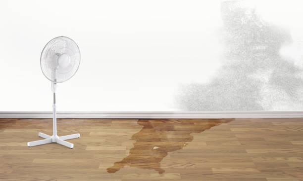 Best Water damage restoration near me  in Bayou Vista, TX