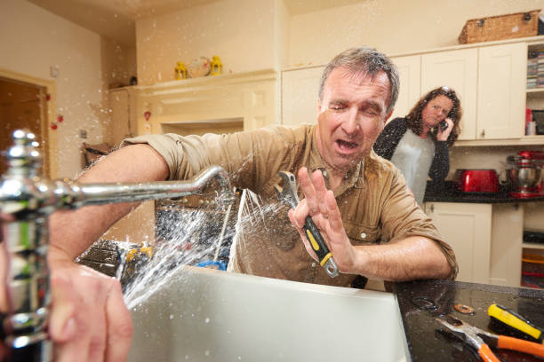 Best Mold removal after water damage  in Bayou Vista, TX